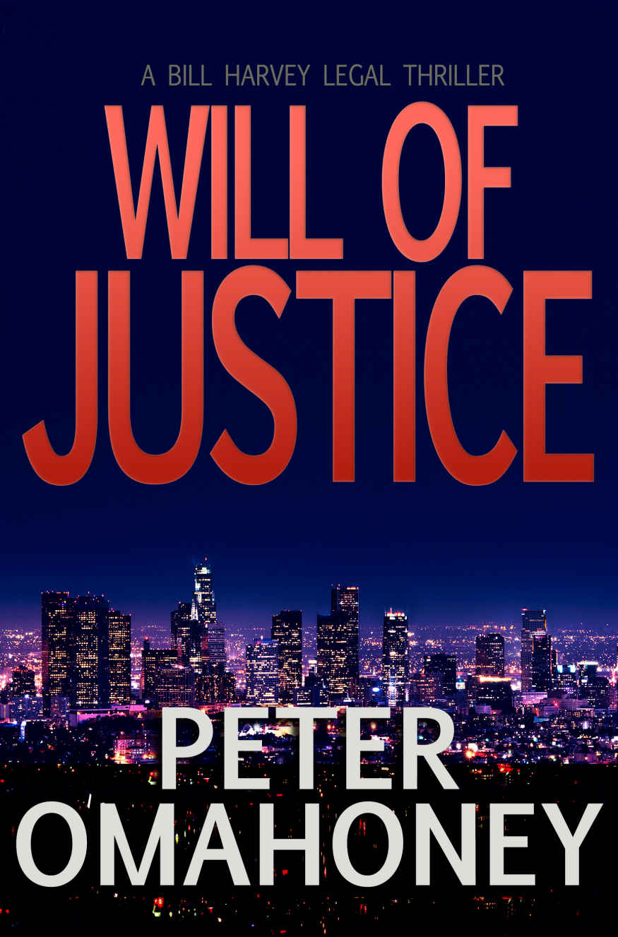 Will of Justice: A Legal Thriller