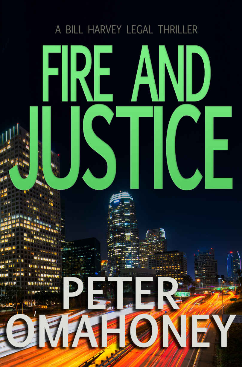 Fire and Justice: A Legal Thriller