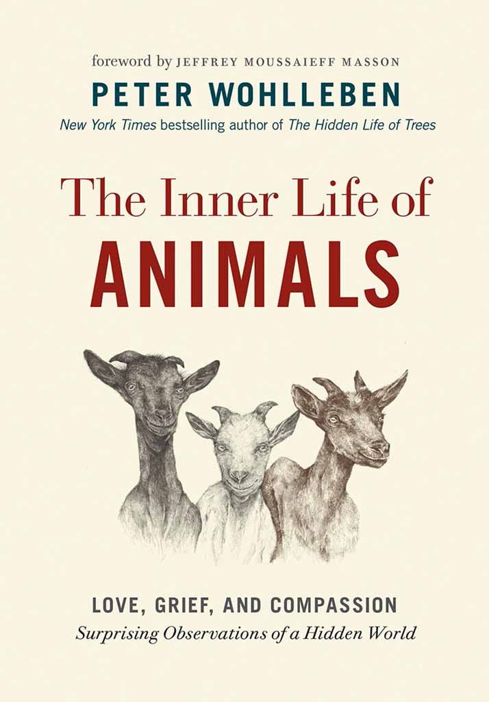 The Inner Life of Animals