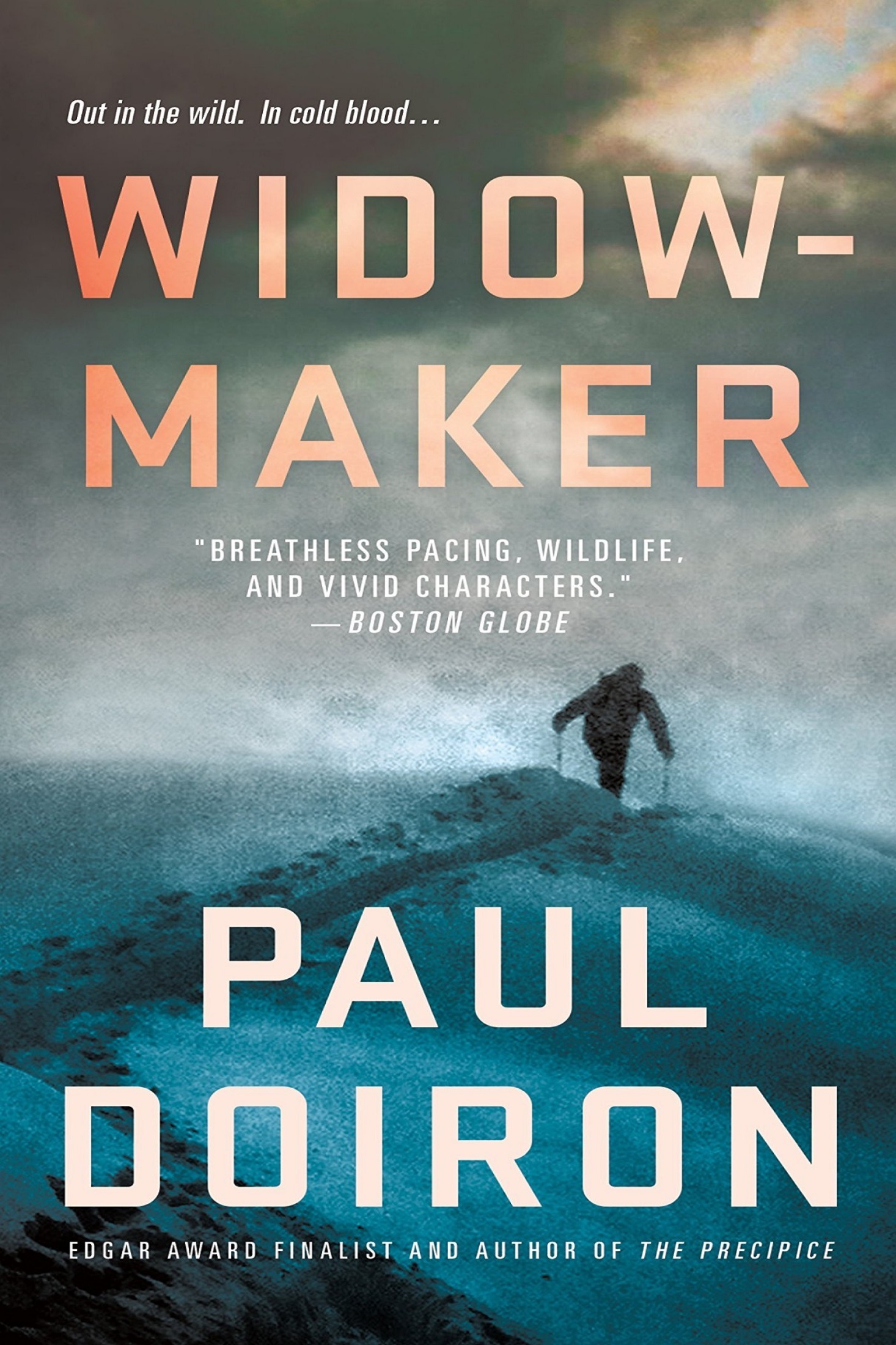Widowmaker: A Novel