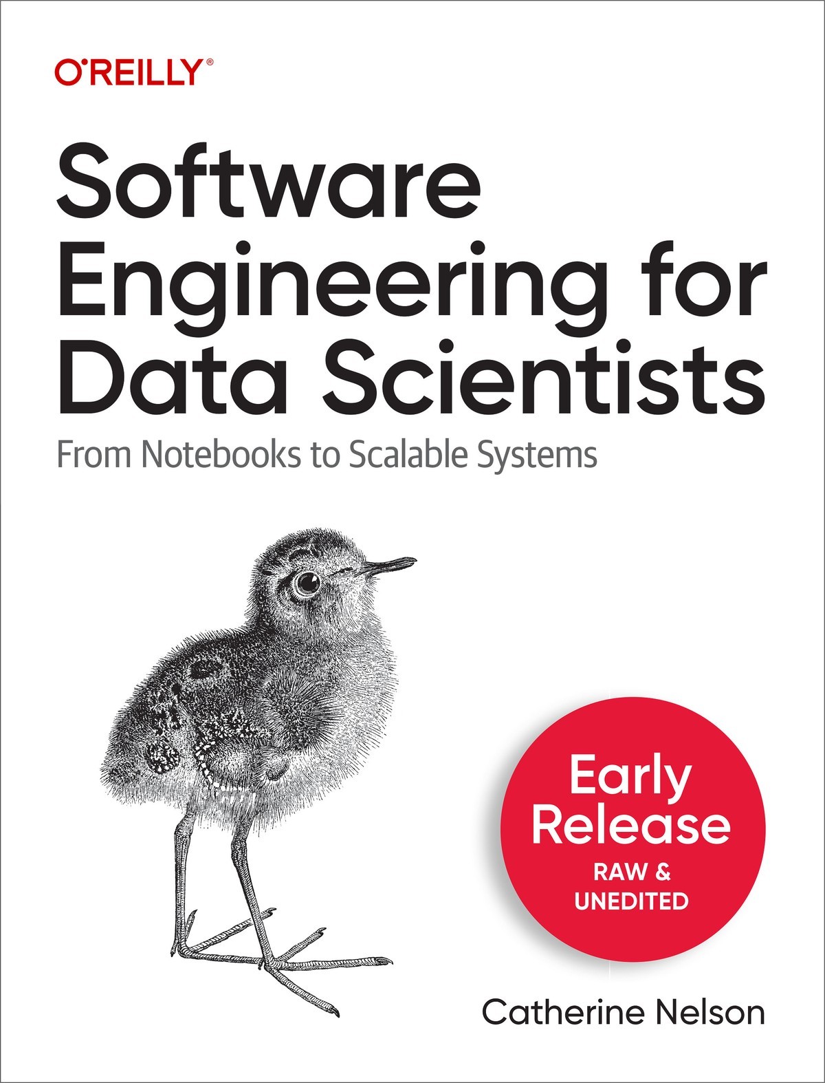 Software Engineering for Data Scientists
