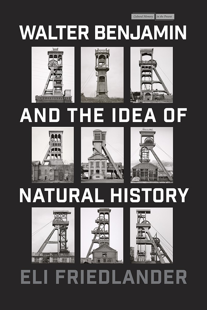 Walter Benjamin and the Idea of Natural History