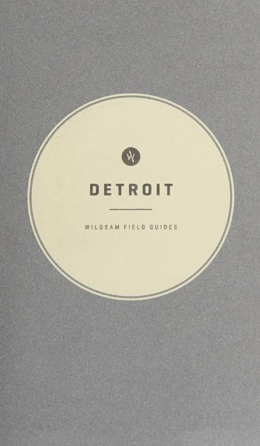 Wildsam Field Guieds: Detroit