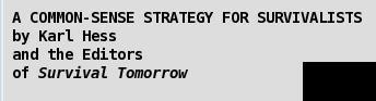 A Common Sense Strategy for Survivalists