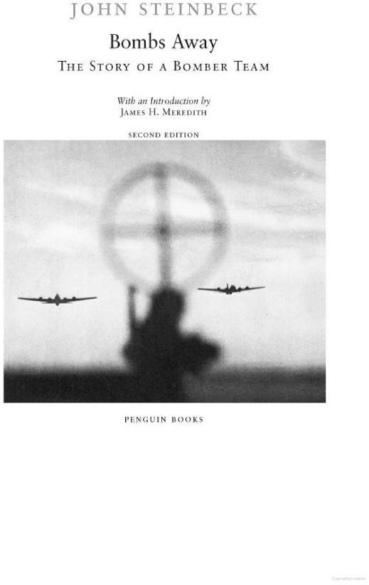 Bombs Away: The Story of a Bomber Team
