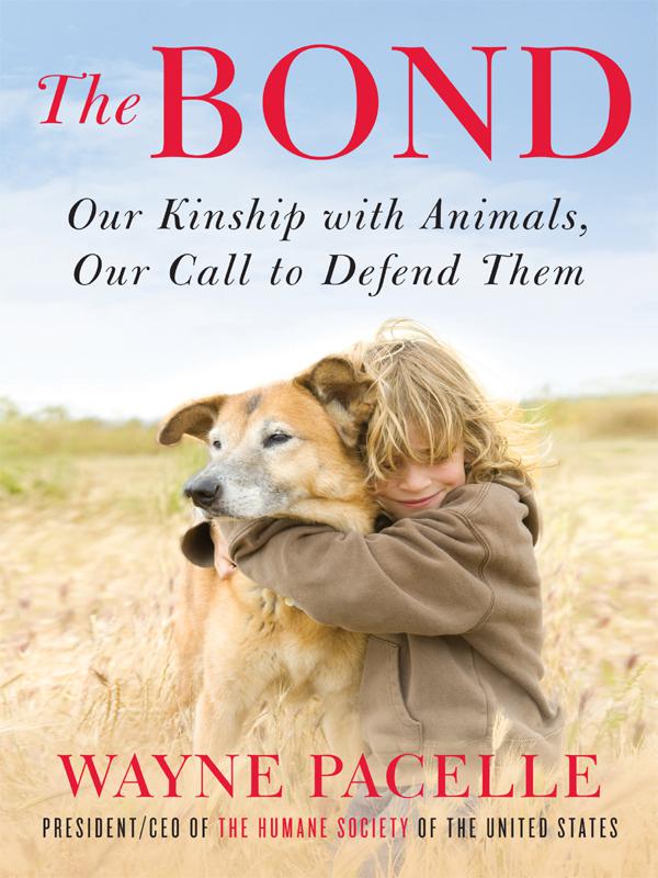 The Bond