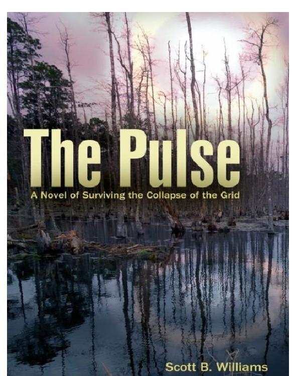 The Pulse: A Novel of Surviving the Collapse of the Grid