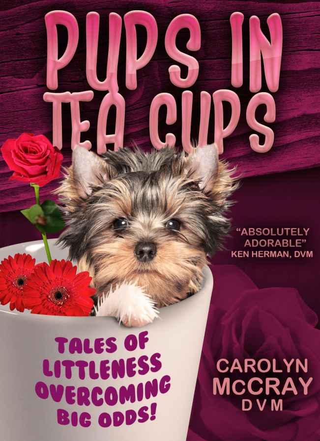 Pups in Tea Cups: Tales of "Littleness" Overcoming BIG Odds