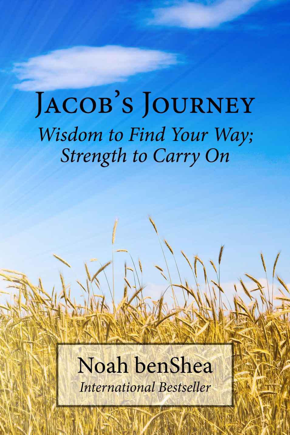 Jacob's Journey: Wisdom to Find the Way, Strength to Carry On