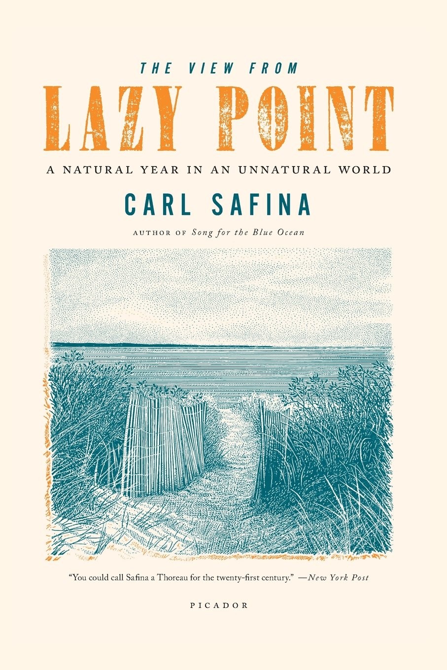 The View from Lazy Point