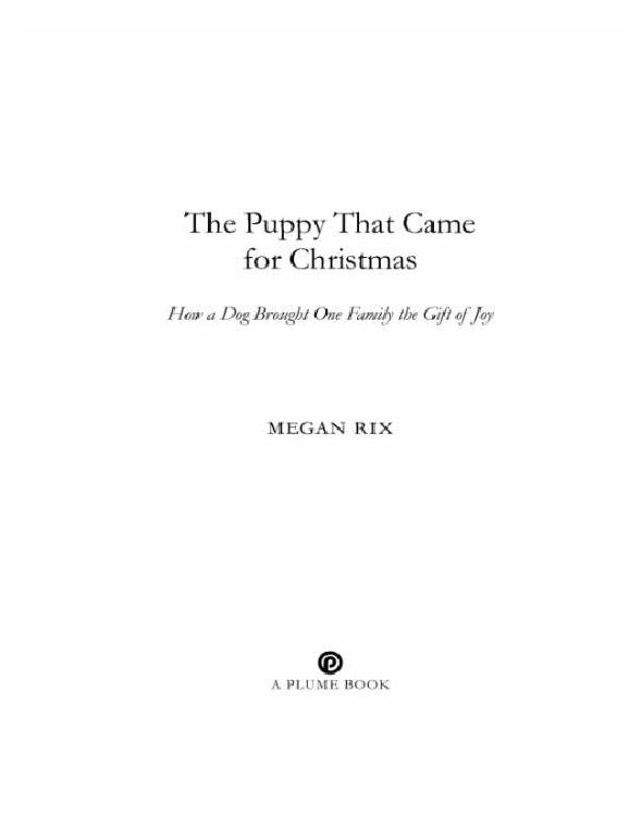 The Puppy That Came for Christmas