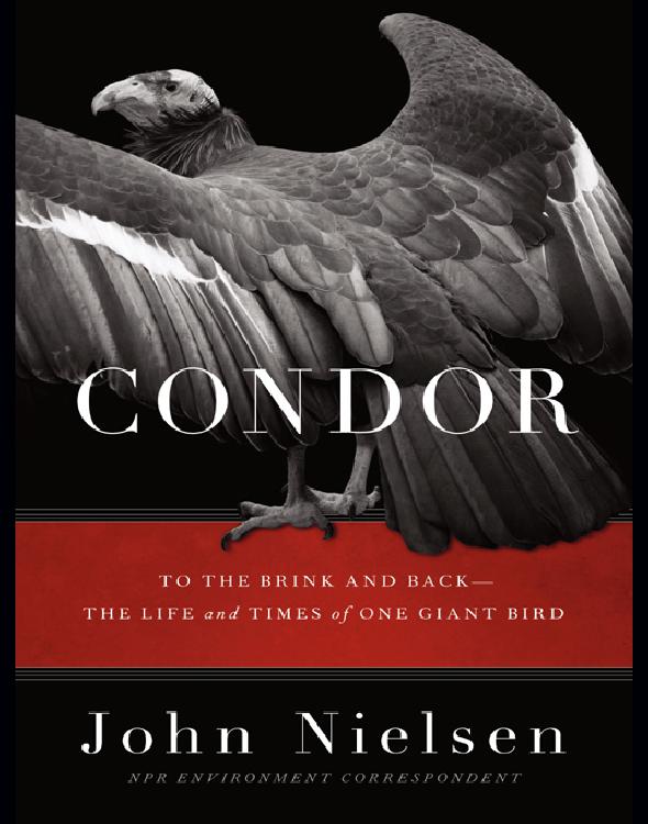 Condor