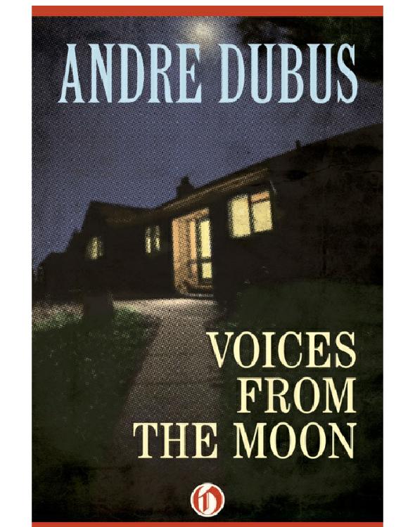 Voices From the Moon